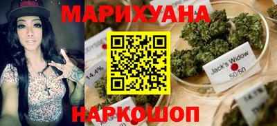 МДПВ Новокубанск