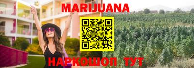 МДПВ Новокубанск