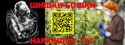 МДПВ Новокубанск