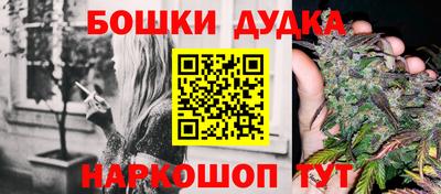 МДПВ Новокубанск