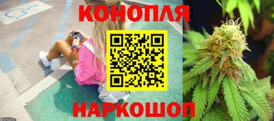 метадон Новозыбков