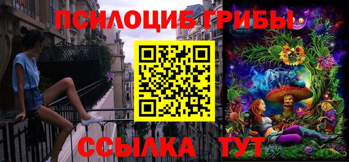 Галлюциногенные грибы Psilocybe Строитель